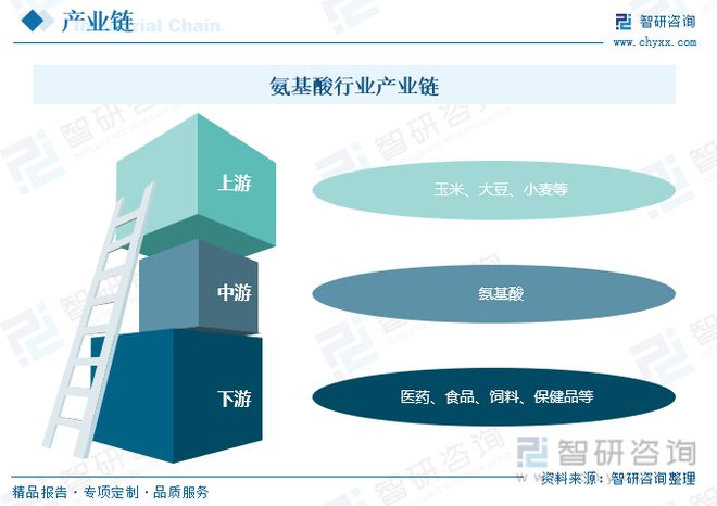 氨基酸行业J9九游会 AG九游会发展前景如何？应用领域不断拓展未来发展潜力巨大(图3)