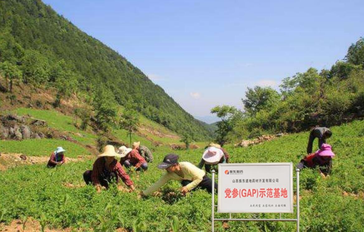 奋进三十载 山西振东集团扬帆再起航AG九游会(图4)