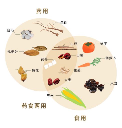 五九游会泽天下：深耕“互联网+大健康”揭秘药食同源(图1)