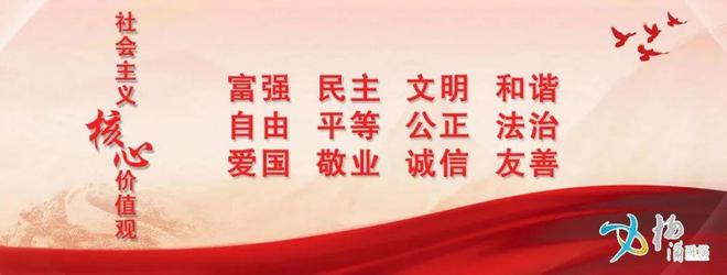 AG九游会官网 九游会国际保健品吃点更健康？服用还需悠着点(图2)