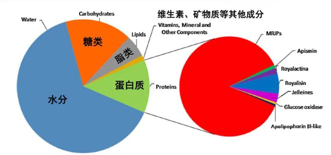 蜂王浆：天然的滋补、保健食品！(图6)